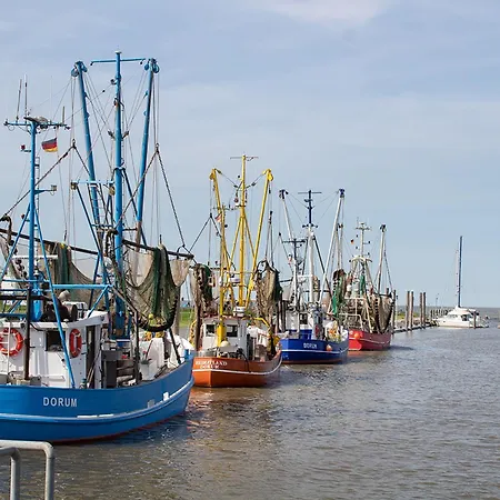 Eversand 04 דורום נויפלד