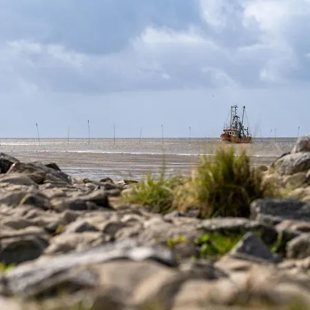 Eversand 04 * דורום נויפלד