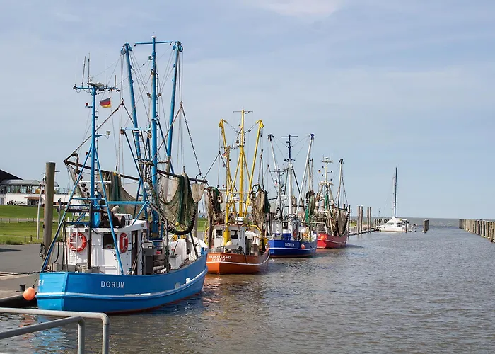 Eversand 04 دورم نيوفيلد