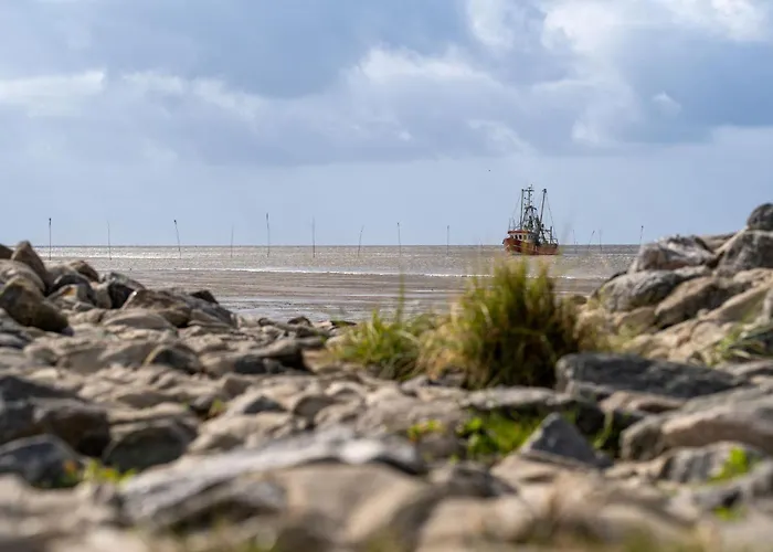 Eversand 04 * دورم نيوفيلد